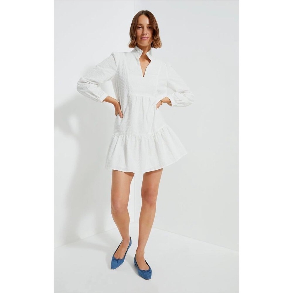 Tuckernuck White Swiss‎ Dot Callahan Mini Dress Ruffle Neck Cotton M Y24384T